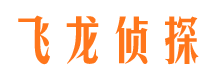 六合市侦探调查公司